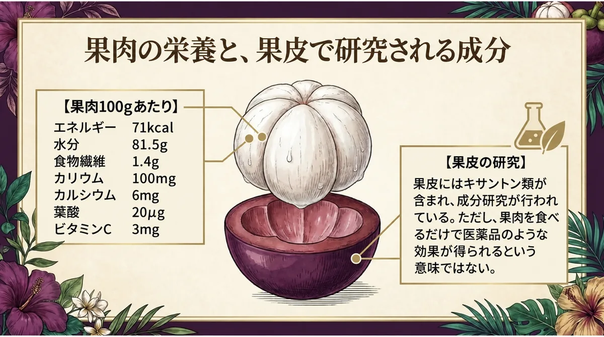 マンゴスチン果肉100グラムの栄養と果皮で研究されるキサントン類