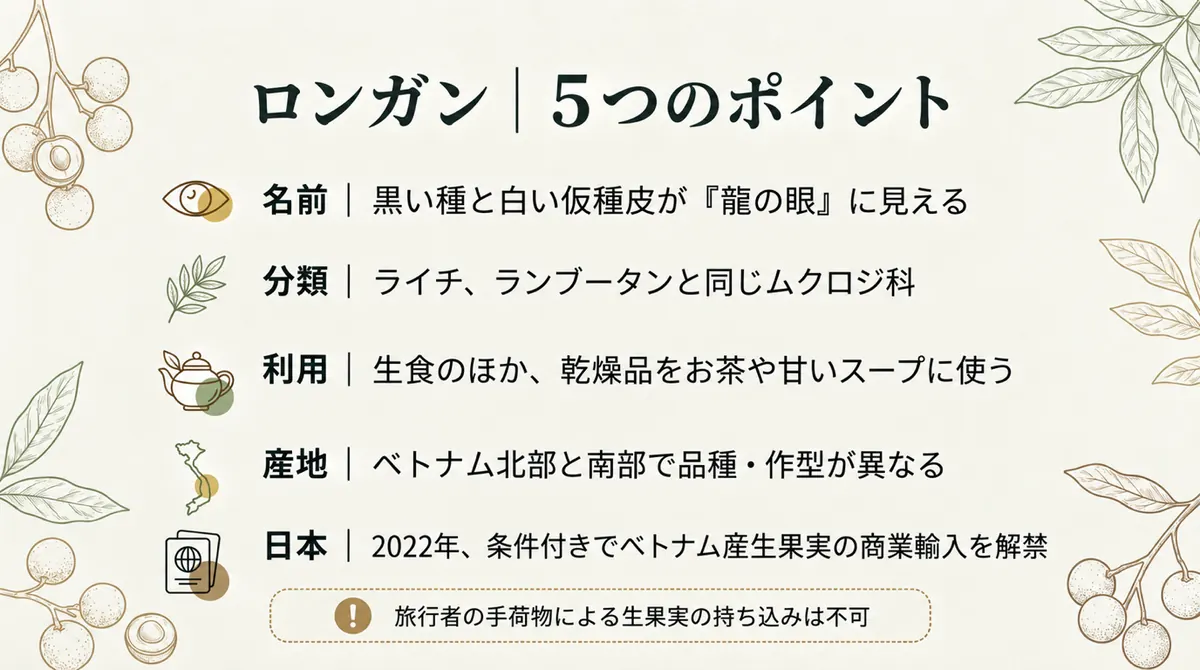 ロンガンの名前、分類、乾燥利用、ベトナムの産地、日本の輸入条件をまとめた図