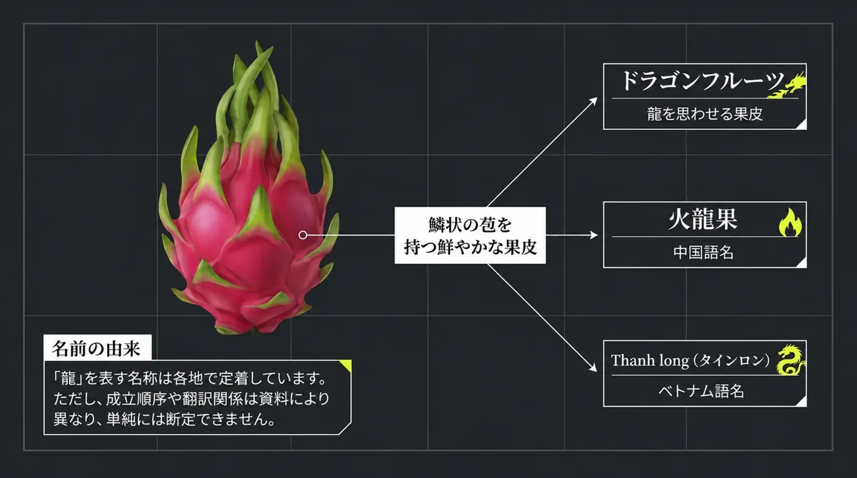 ドラゴンフルーツ、火龍果、thanh longという名称と、龍を思わせる果皮の外観
