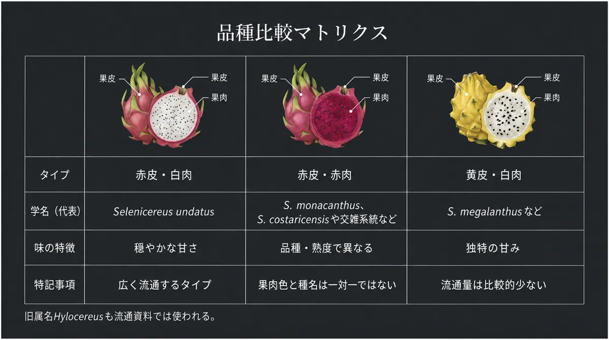 赤皮白肉、赤皮赤肉、黄皮白肉のドラゴンフルーツを現行分類で比較した図