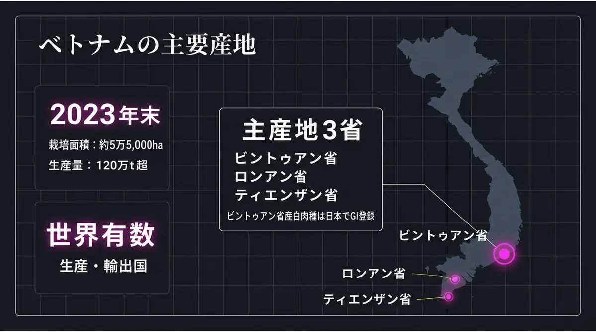2023年末のベトナムのドラゴンフルーツ生産量と主産地3省を示す地図