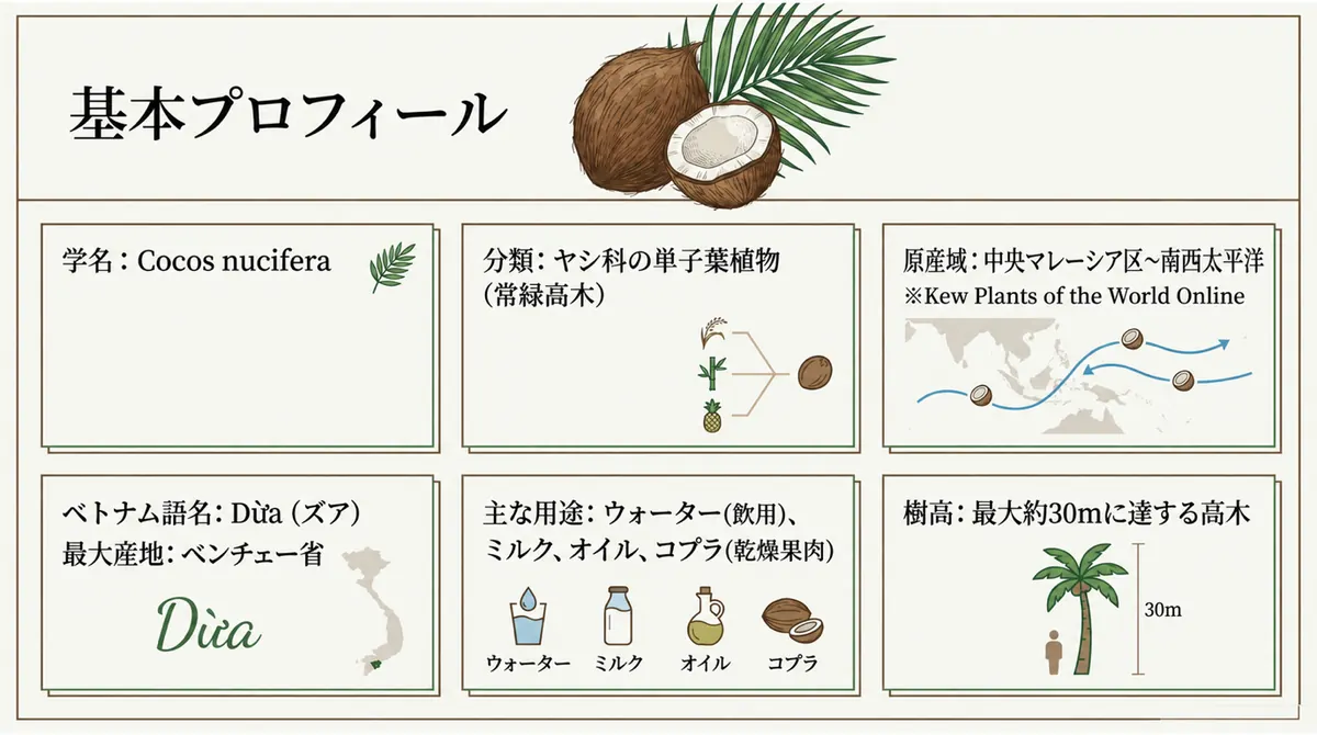 ココナッツの基本プロフィール（学名・分類・原産域・ベトナム語名・主な用途・樹高）