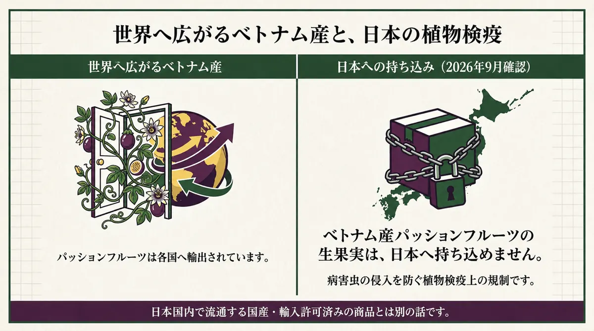 各国へ輸出されるベトナム産パッションフルーツと、ベトナム産生果実は植物検疫上、日本へ持ち込めないことを対比した図（2026年9月確認）