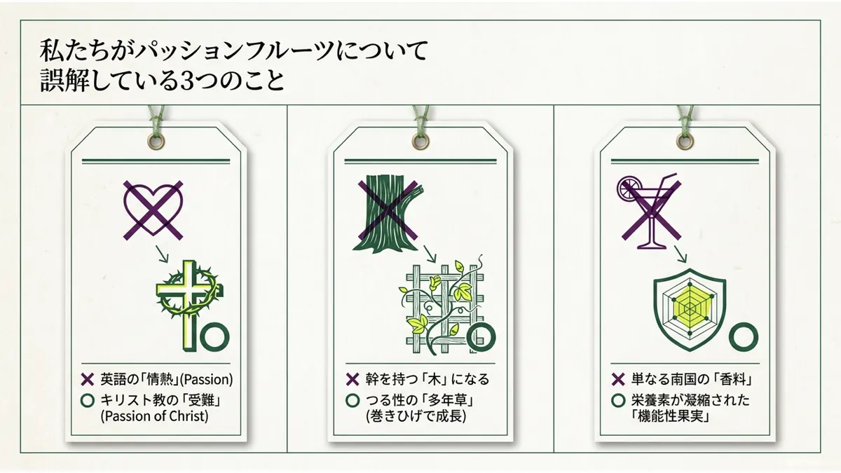 私たちがパッションフルーツについて誤解している3つのこと。「英語の情熱」ではなくキリスト教の「受難」、幹を持つ「木」ではなくつる性の「多年草」(巻きひげで成長)、単なる南国の「香料」ではなく栄養素が凝縮された「機能性果実」という3つの誤解を訂正する図