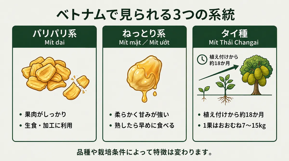 ベトナムの味わいの系統とタイ種の特徴を示す図