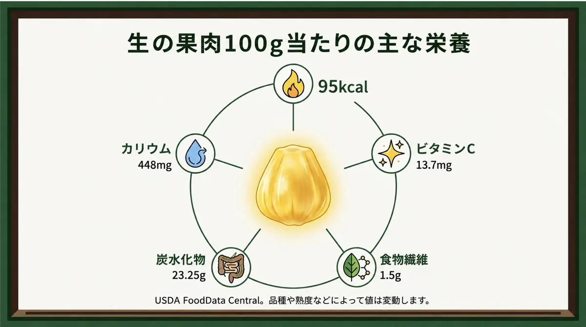 生のジャックフルーツ100g当たりの主な栄養値を示す図