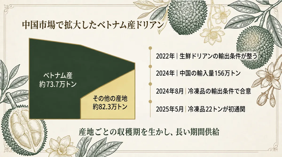 2022年以降のベトナム産ドリアンの対中輸出拡大を年表と数量で示した図
