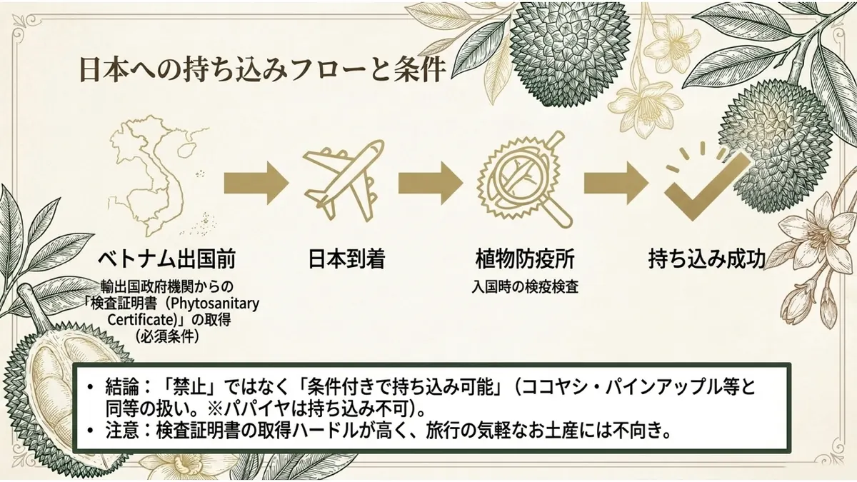ベトナムで検査証明書を取得し、日本到着時に植物検疫を受ける流れを示した図