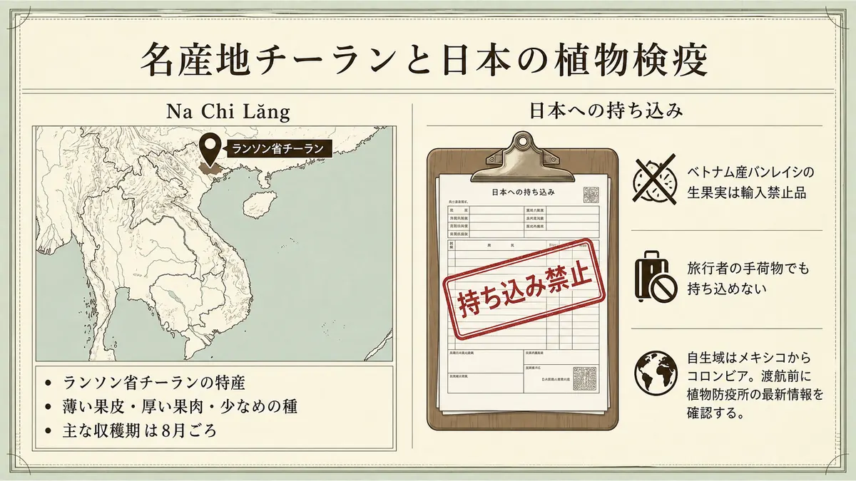 ベトナム北部ランソン省チーランの名産地と、日本への生果実の持ち込み禁止を示す図