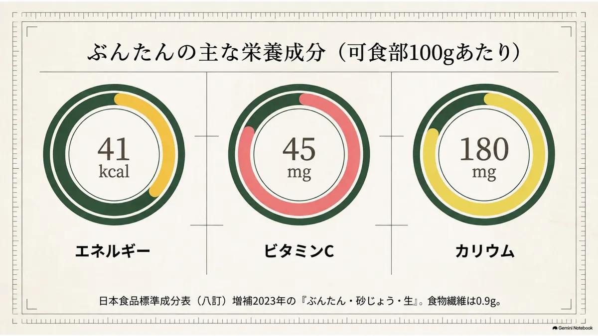 ザボン可食部100グラム当たりの主な栄養成分