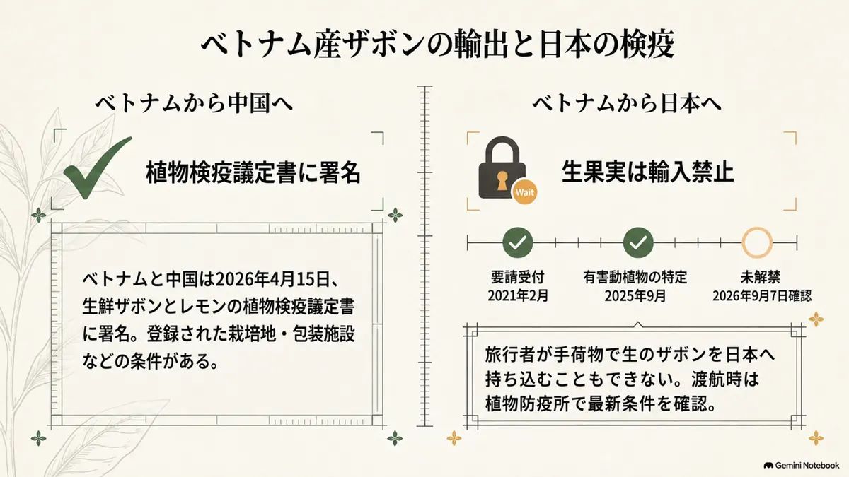 ベトナム産ザボンの輸出と日本の植物検疫を示す図