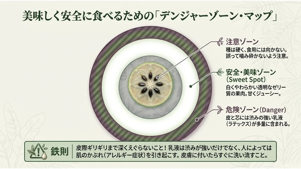 美味しく安全に食べるための「デンジャーゾーン・マップ」。注意ゾーン:種は硬く、食用には向かない。誤って噛み砕かないよう注意。安全・美味ゾーン(Sweet Spot):白くやわらかい透明なゼリー質の果肉。甘くジューシー。危険ゾーン(Danger):皮と芯には渋みの強い乳液(ラテックス)が多量に含まれる。鉄則:皮際ギリギリまで深くえぐらないこと!乳液は渋みが強いだけでなく、人によっては肌のかぶれ(アレルギー症状)を引き起こす。皮膚に付いたらすぐに洗い流すこと