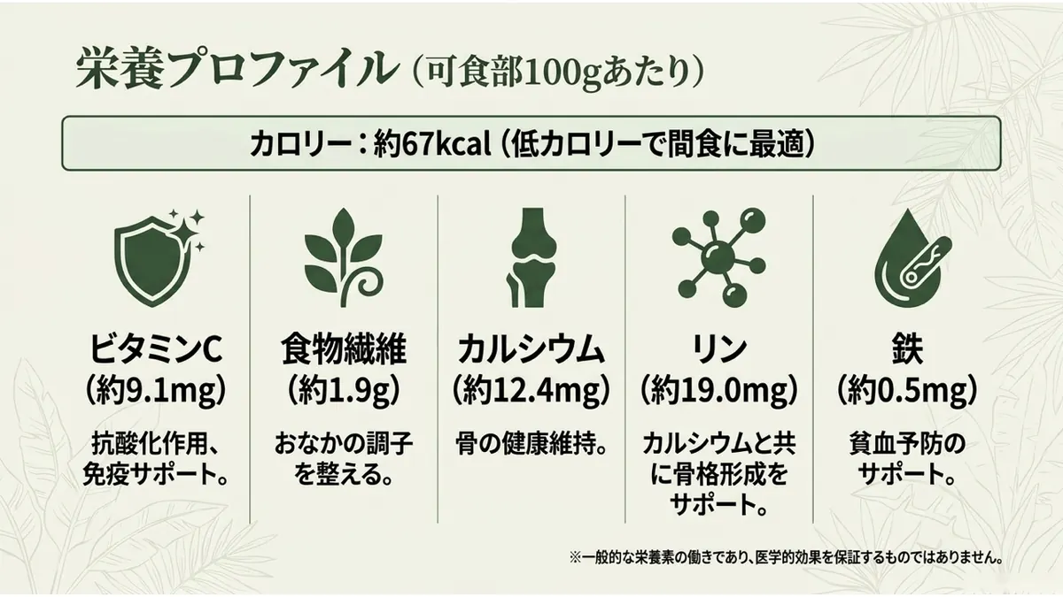 栄養プロファイル(可食部100gあたり)。カロリー:約67kcal(低カロリーで間食に最適)。ビタミンC(約9.1mg):抗酸化作用、免疫サポート。食物繊維(約1.9g):おなかの調子を整える。カルシウム(約12.4mg):骨の健康維持。リン(約19.0mg):カルシウムと共に骨格形成をサポート。鉄(約0.5mg):貧血予防のサポート。※一般的な栄養素の働きであり、医学的効果を保証するものではありません