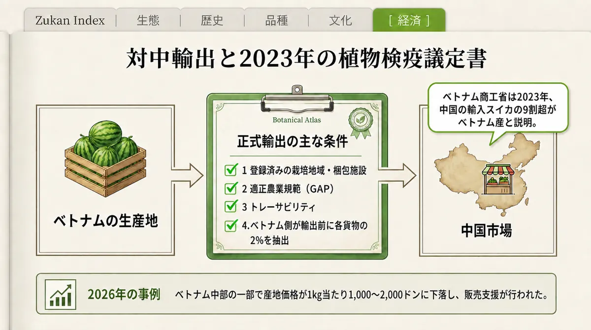 ベトナムから中国へのスイカ輸出について、栽培地と梱包施設の登録、トレーサビリティ、植物検疫などの条件を示した図