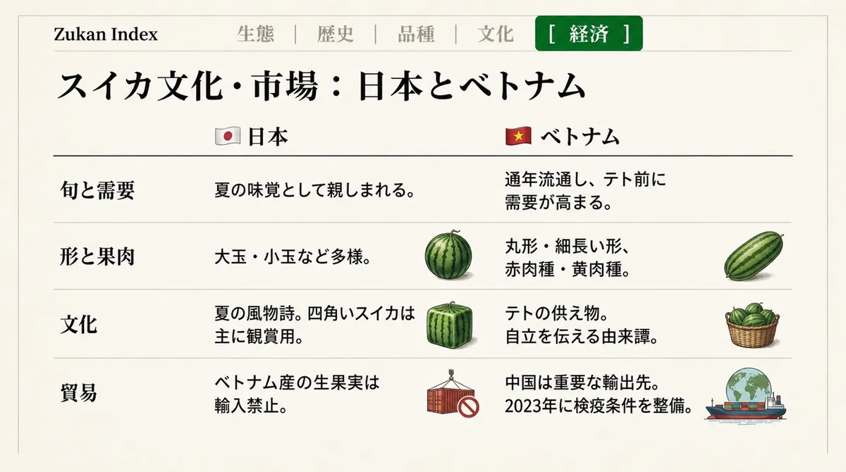 旬と需要、形や品種、文化的な位置づけ、日本への生果実持ち込みを日本とベトナムで比較した表