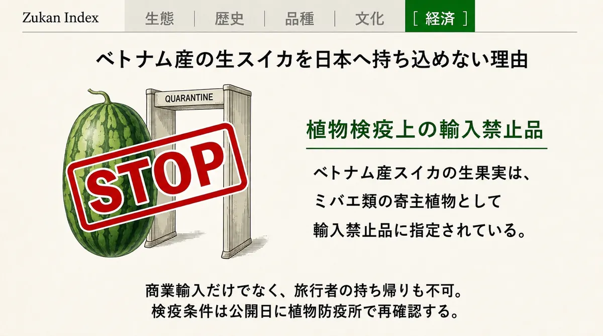 検疫ゲートの前のスイカと、日本への生果実の持ち込みには品目と産地ごとの条件確認が必要であることを示した図