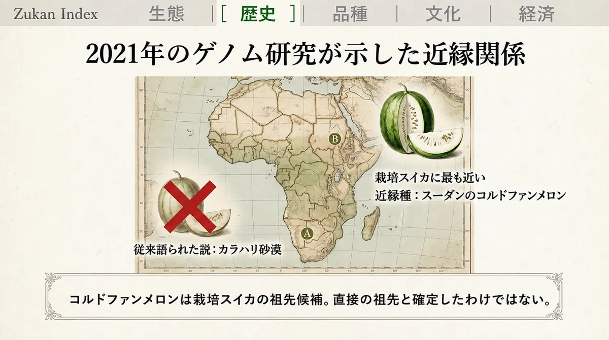 アフリカ大陸の地図上に、スイカの近縁野生種が分布するスーダンのコルドファン地方を示した図