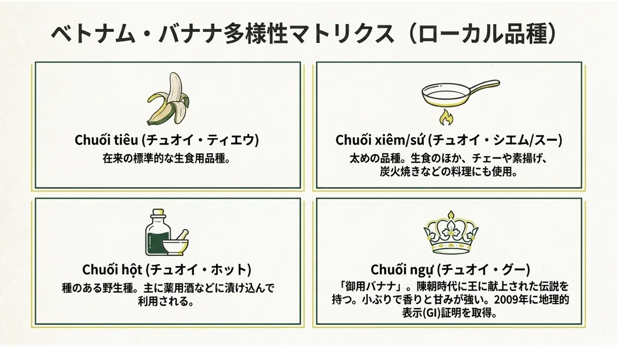 ベトナムのローカル品種を4分割で示した図。生食用の在来種Chuối tiêu(チュオイ・ティエウ)、生食にも料理にも使われる太めのChuối xiêm/sứ(チュオイ・シエム/スー)、薬用酒に使われる種のある野生種Chuối hột(チュオイ・ホット)、陳朝時代に王へ献上された伝説を持つ「御用バナナ」Chuối ngự(チュオイ・グー)