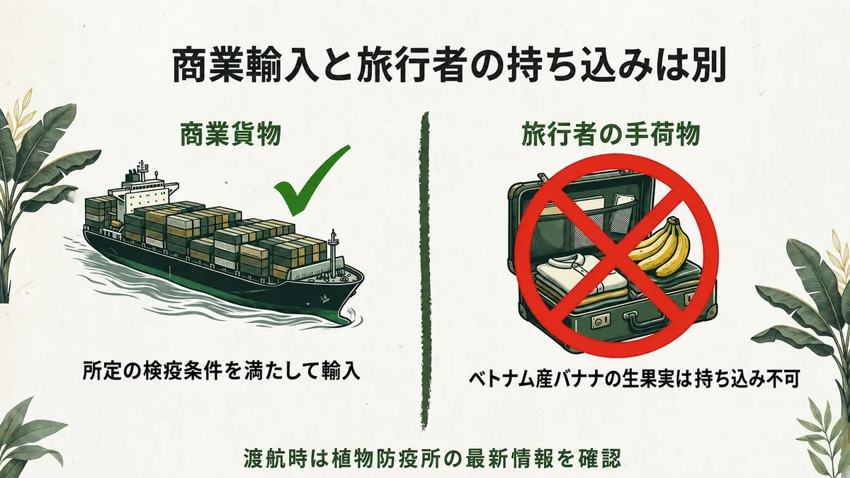 検疫条件を満たして輸入される商業貨物の船と、ベトナム産バナナの生果実を入れた旅行者の手荷物に禁止マークを付けて対比した図