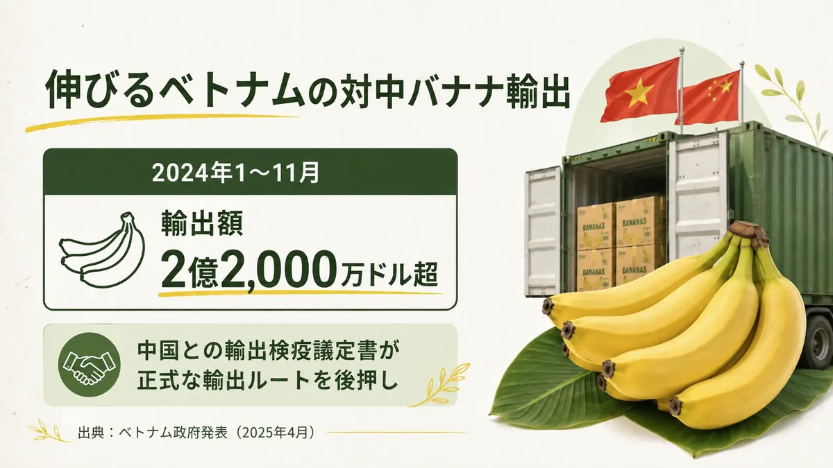 ベトナムと中国の国旗、輸送コンテナ、バナナを背景に、2024年1〜11月の中国向けバナナ輸出額が2億2,000万ドルを超えたことを示した図