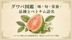 赤肉種のグワバと「グワバ図鑑｜味・旬・栄養・品種とベトナム語名」の文字を配したタイトル画像