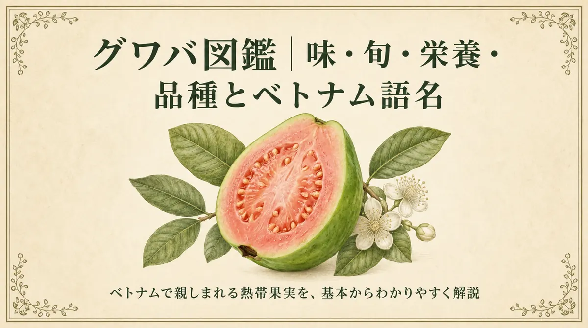 赤肉種のグワバと「グワバ図鑑|味・旬・栄養・品種とベトナム語名」の文字を配したタイトル画像
