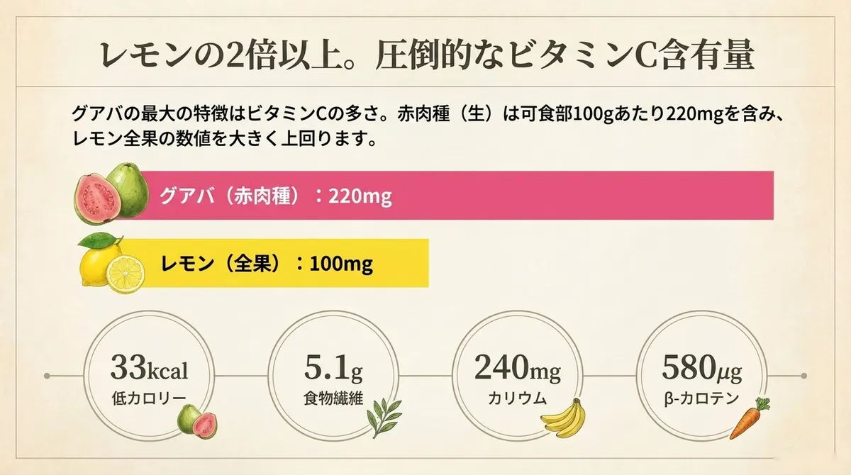 グアバ(赤肉種)220mgとレモン(全果)100mgのビタミンC含有量を横棒グラフで比較し、下段にエネルギー33kcal・食物繊維5.1g・カリウム240mg・β-カロテン580μgを円形アイコンで示した図