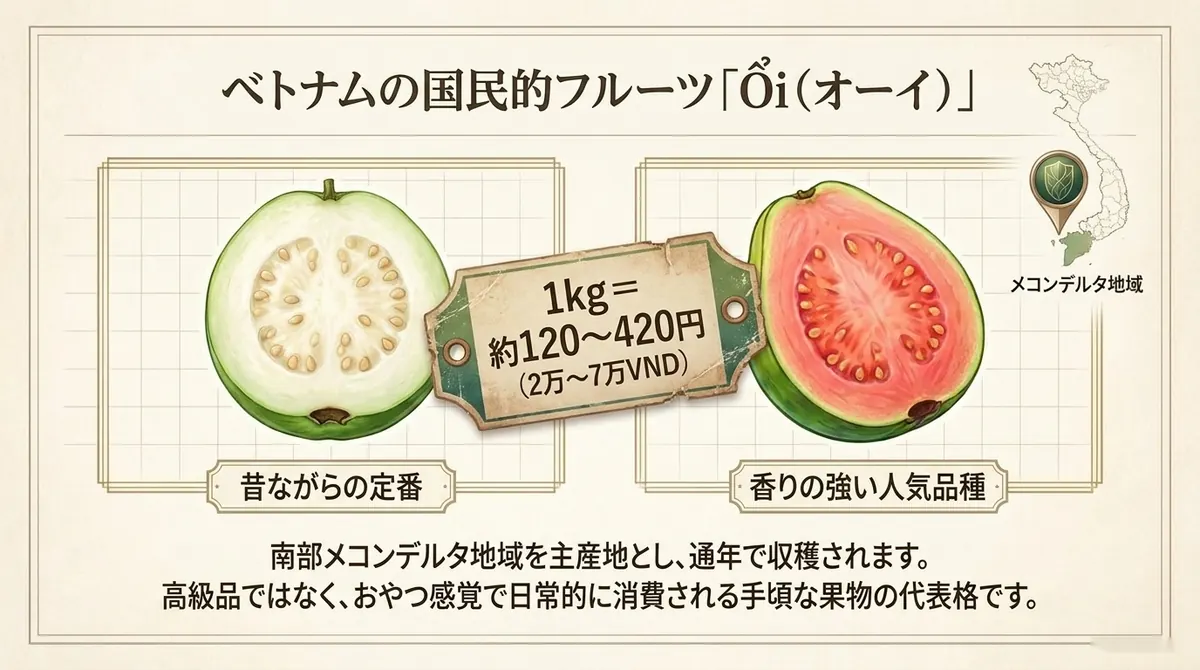 左に白い果肉の断面「昔ながらの定番」、右にピンク色の果肉の断面「香りの強い人気品種」を並べ、中央に1kg=約120〜420円(2万〜7万VND)の価格タグ、右上にメコンデルタ地域を示したベトナム地図を配置した図