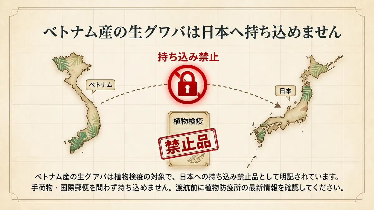 ベトナム産の生グアバは植物検疫の対象で、日本への持ち込み禁止品として明記されていることを、ベトナムと日本の地図、錠前、禁止品表示で示した図
