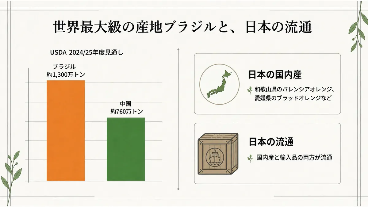 USDAの2024/25年度推計としてブラジル約1300万トン、中国約760万トンを示し、日本では国産と輸入品が流通することをまとめた図
