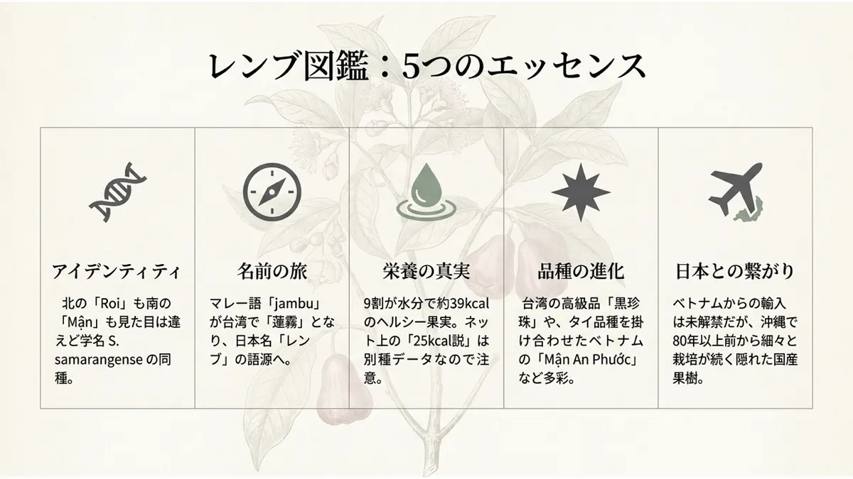 レンブ図鑑の5つのエッセンス(アイデンティティ・名前の旅・栄養の真実・品種の進化・日本との繋がり)をアイコン付きで並べたまとめ図