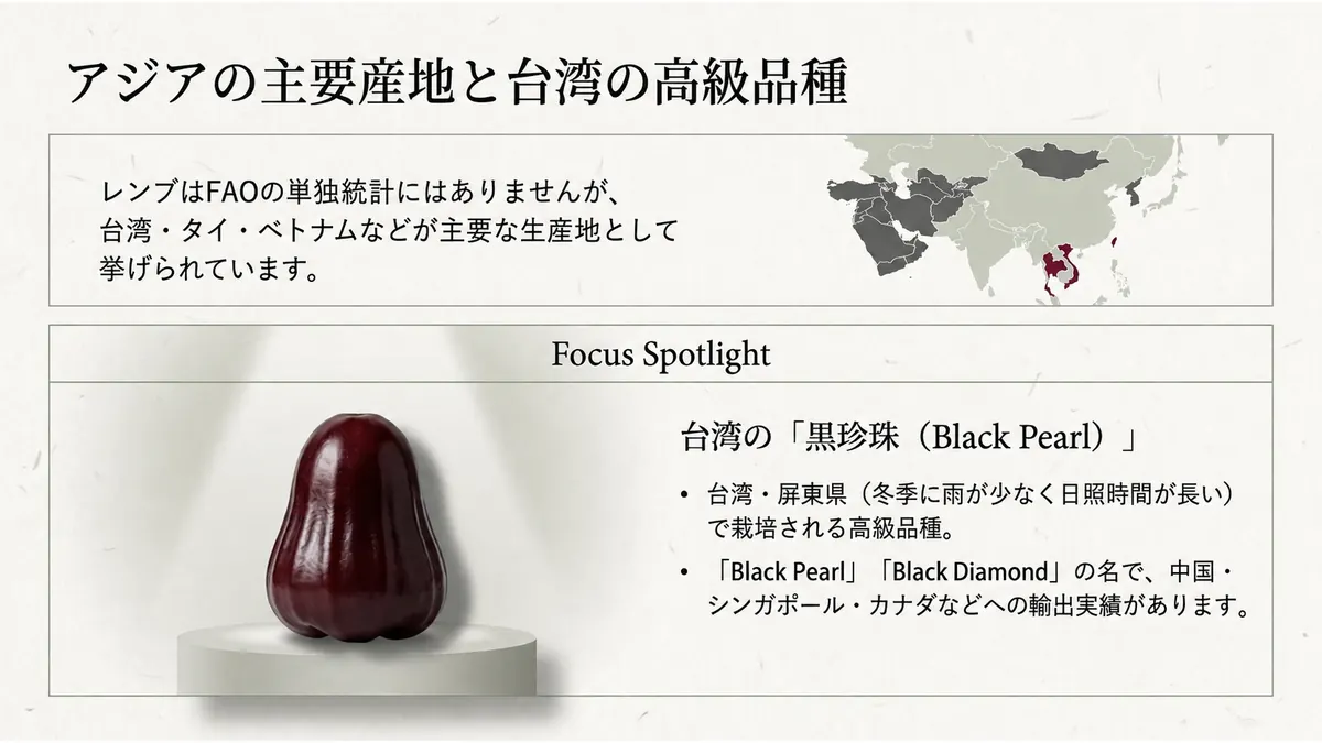 レンブはFAOの単独統計になく、台湾・タイ・ベトナムなどが主要な生産地であるという説明と、台湾・屏東県産の高級品種「黒珍珠(Black Pearl)」を紹介した図