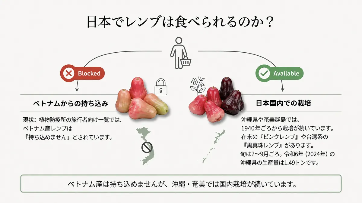 左にベトナムからの輸入が不可であること、右に沖縄県・奄美群島で1940年頃から栽培されていることを対比した図。日本国内では在来のピンクレンブや台湾系の黒真珠レンブが育つ