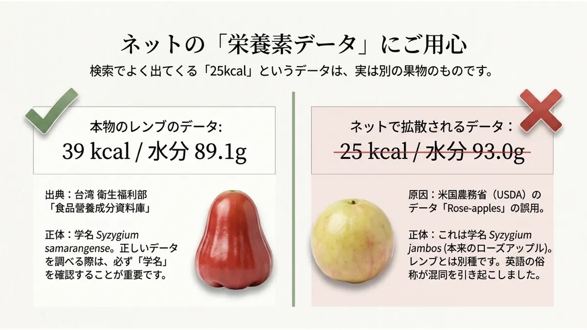 左に正しいレンブのデータ(39kcal・水分89.1g、学名Syzygium samarangense)、右にネットで拡散される誤ったデータ(25kcal・水分93.0g、実際は学名Syzygium jambosのローズアップル)を対比した図