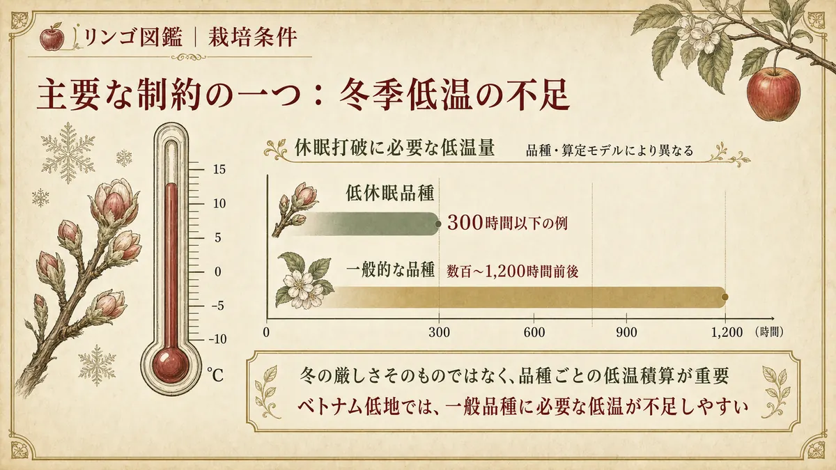 リンゴの休眠打破に必要な低温量を示すグラフ。品種によって必要時間が異なる