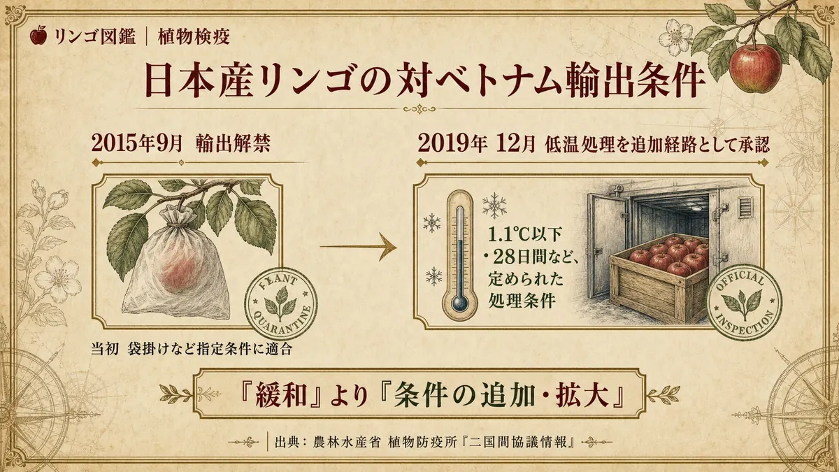 日本産リンゴの対ベトナム輸出解禁の経緯を示す図。2015年の解禁と2019年の条件追加