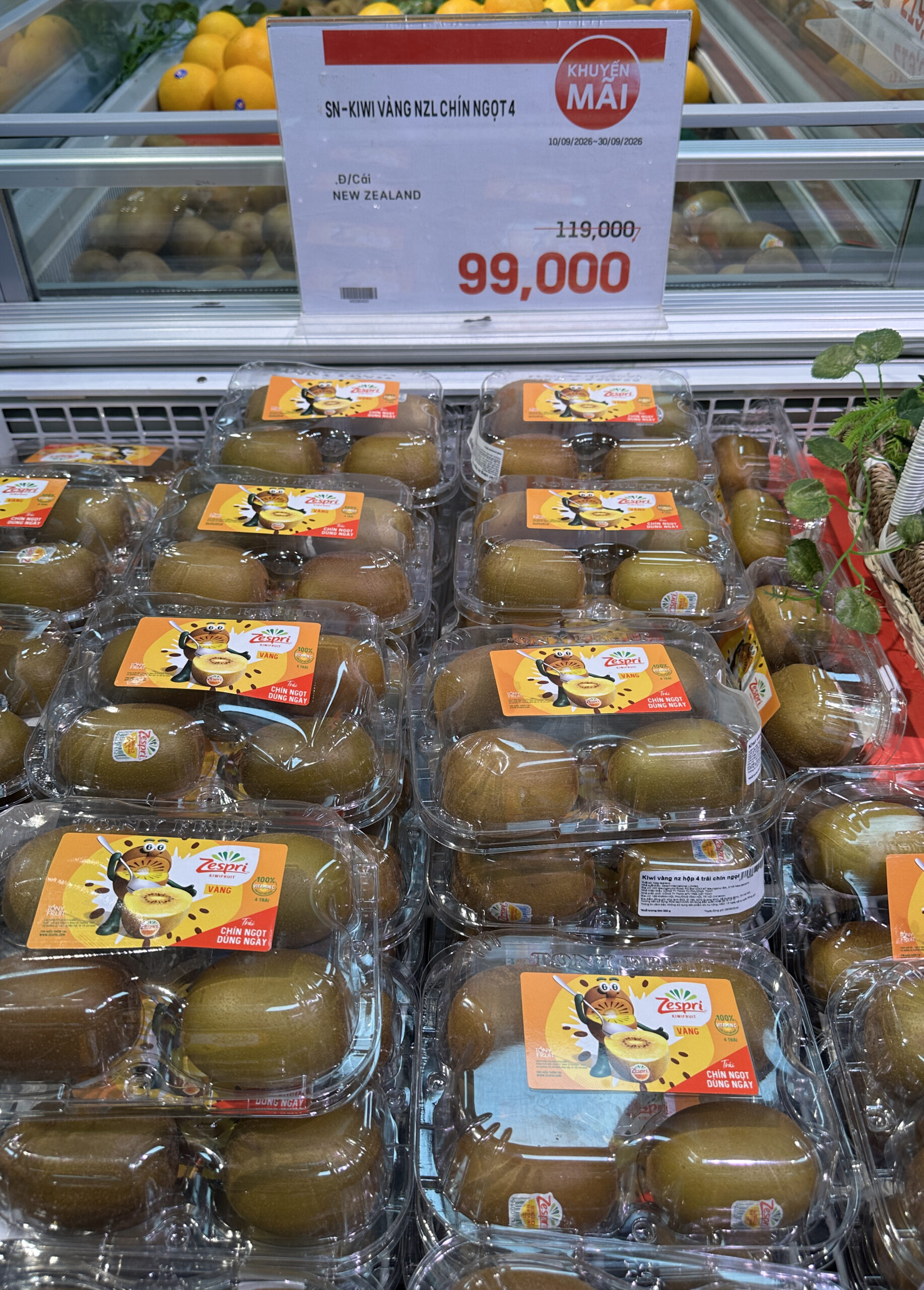 Four-pack of ripe New Zealand gold kiwifruit at Lotte Mart