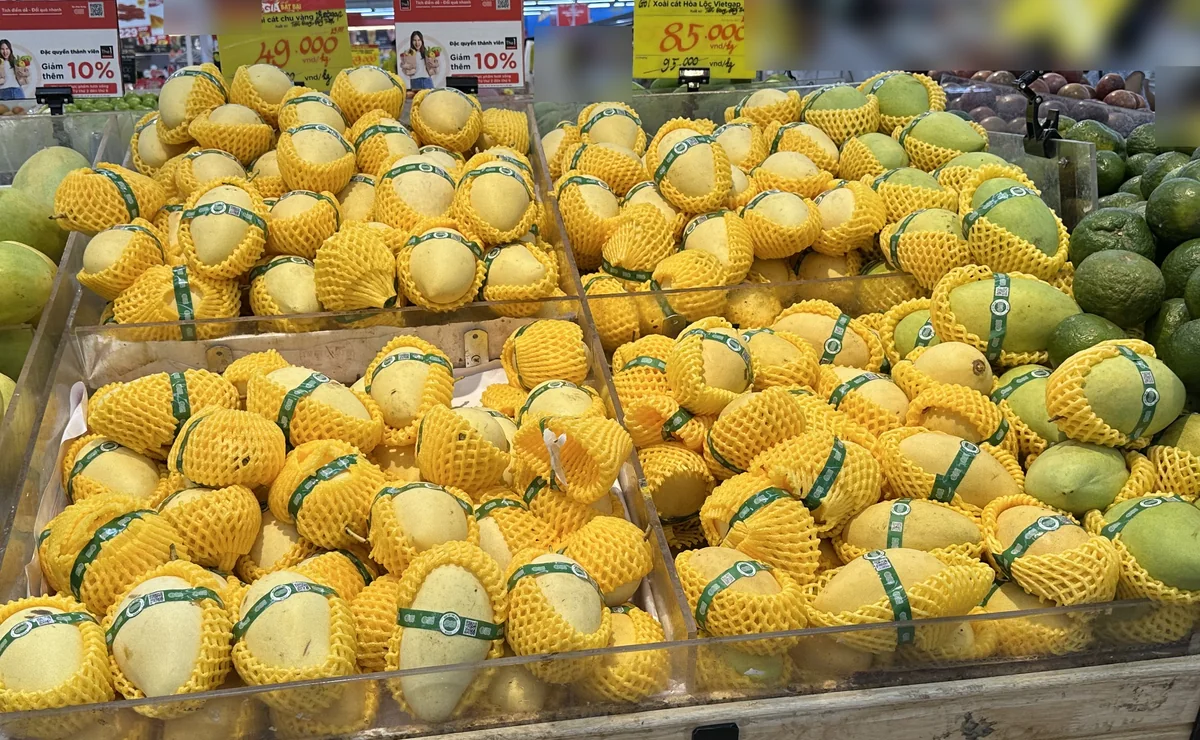 スーパーの売り場に並ぶ黄色と緑色のマンゴー