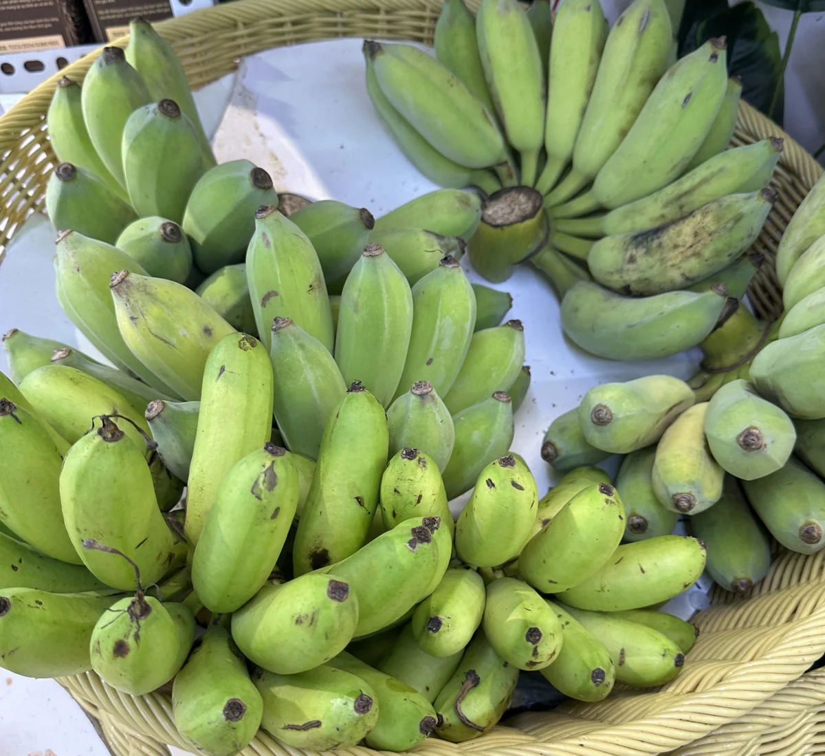 ベトナムの売り場に並ぶ大きさの異なる緑色のバナナ