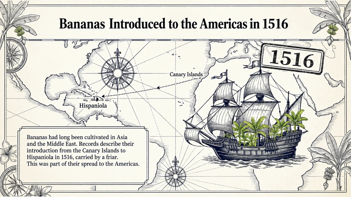1516: the recorded introduction to the Americas of a fruit long known elsewhere.