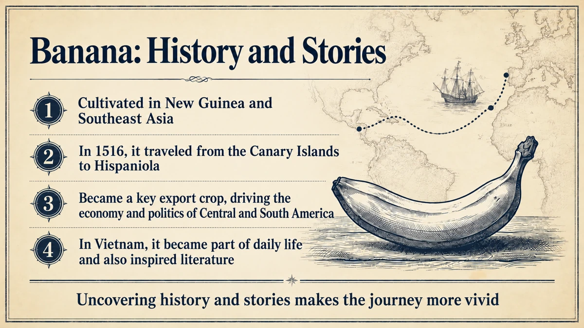 Separating documented history from storytelling makes the banana's journey clearer.