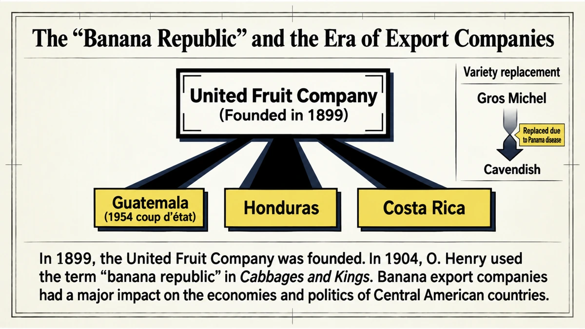 An era when banana export companies exerted considerable influence over Central American economies and politics.
