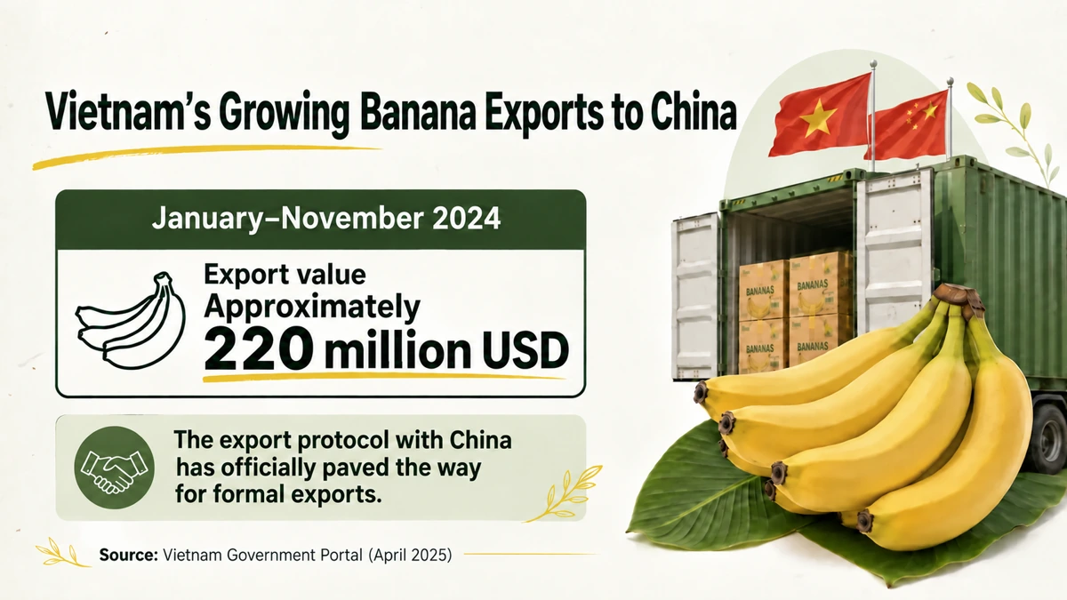 A snapshot of Vietnam's banana exports to China, limited to published figures that could be checked.