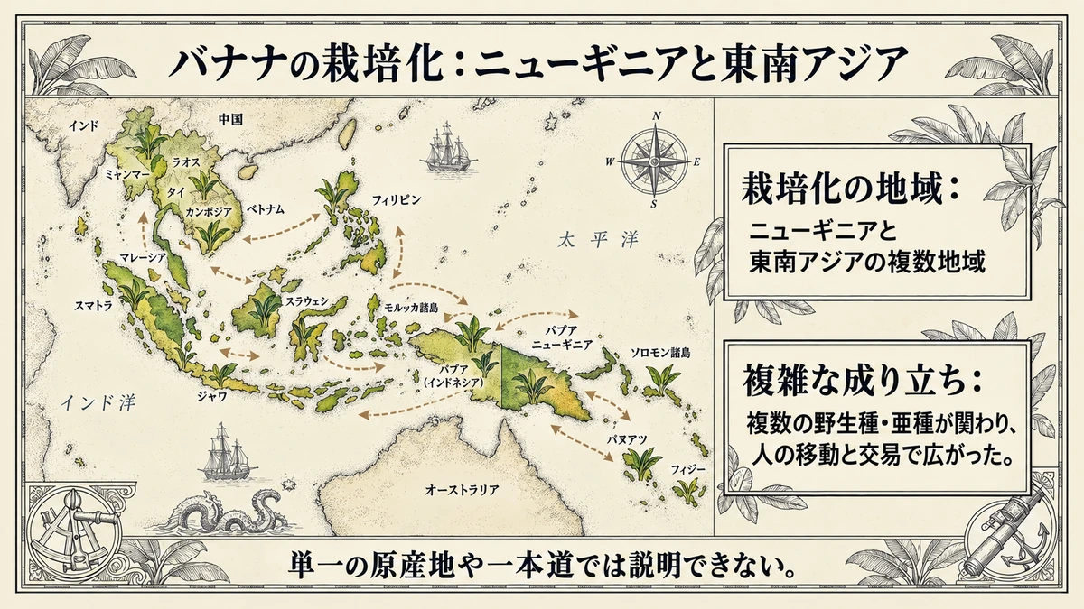 バナナの栽培化はニューギニアと東南アジアの複数地域で進み、複数の野生種・亜種が関わったことを示す地図。