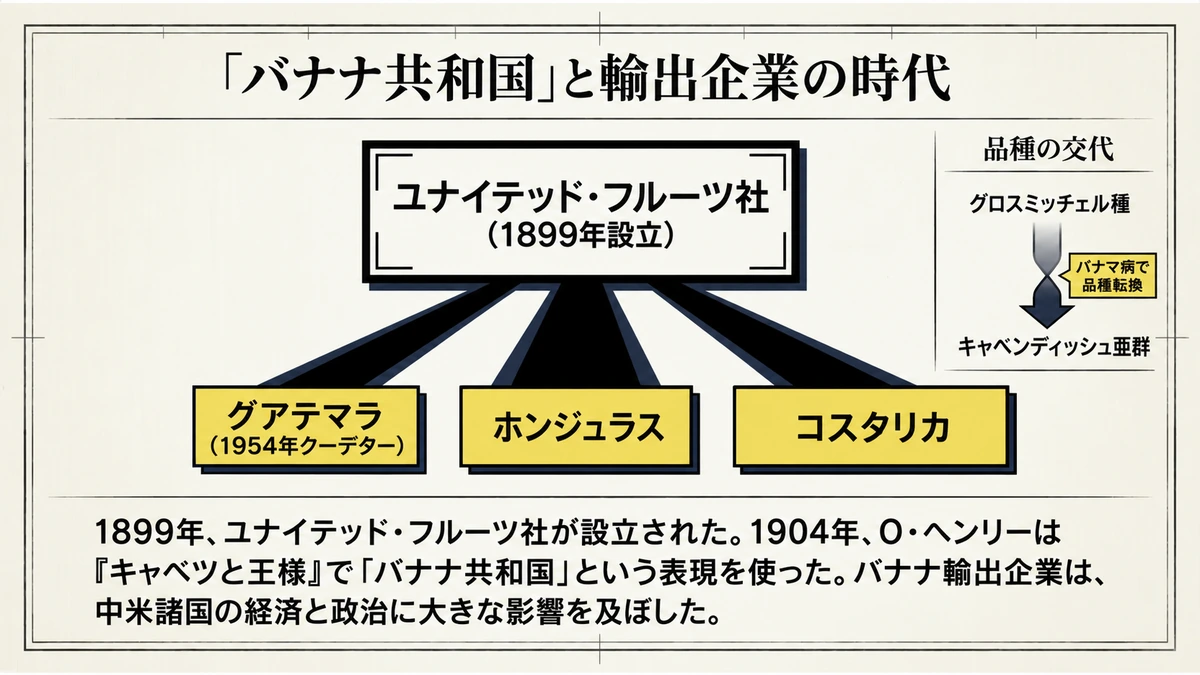 1899年設立のユナイテッド・フルーツ社とグアテマラ・ホンジュラス・コスタリカの関係、パナマ病による品種転換を示す図。