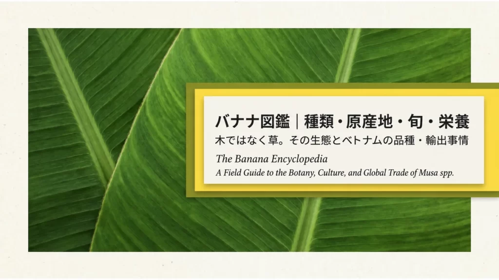 バナナ図鑑。種類・原産地・旬・栄養、木ではなく草という生態とベトナムの品種・輸出事情。