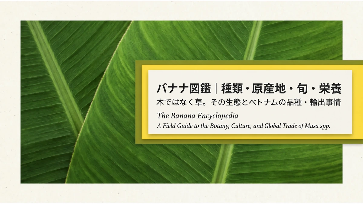 バナナ図鑑。種類・原産地・旬・栄養、木ではなく草という生態とベトナムの品種・輸出事情。