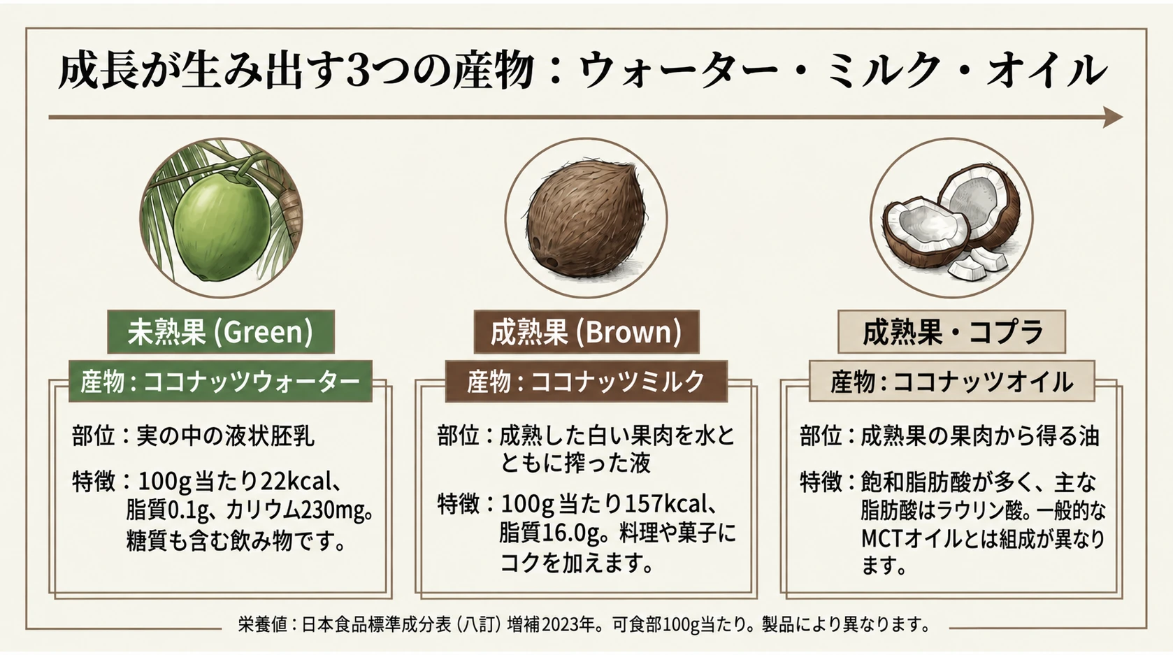 ココナッツのウォーター・ミルク・オイルと可食部100g当たりの栄養