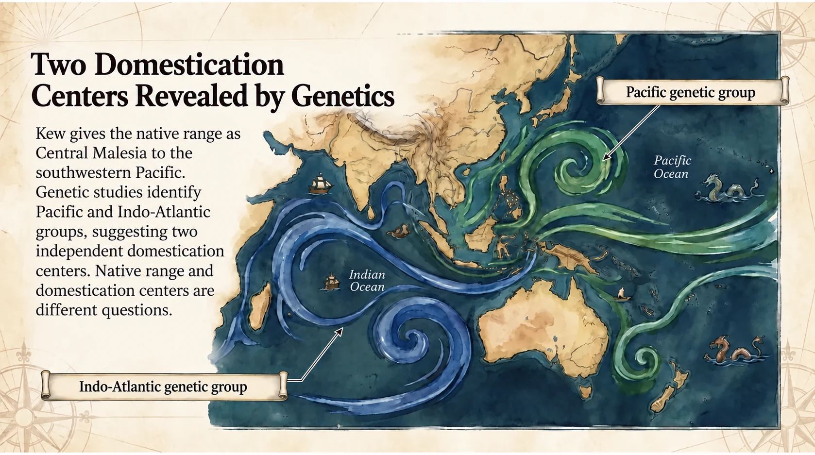 Pacific and Indo-Atlantic genetic groups and proposed domestication centers