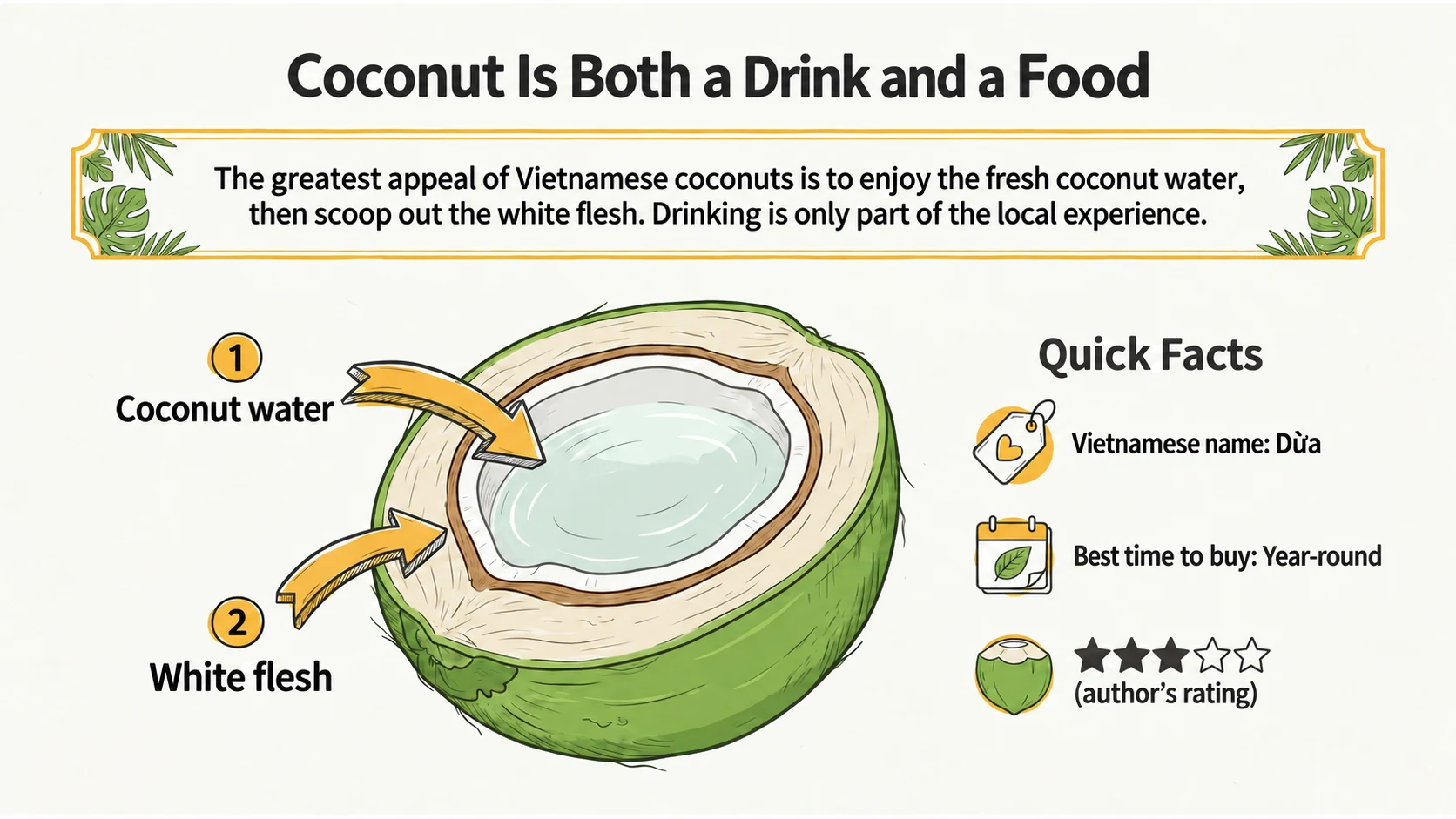 Coconut as both a drink and a food: water and white flesh